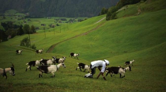 Tom Thwaites tinggal di Pegunungan Alpen dan mencoba hidup seperti kambing selama tiga hari (Tim Bowditch)