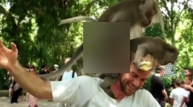 Sepasang monyet memilih suatu tempat percintaan yang cukup membuat risih. Di mana, ya? (Sumber cuplikan video Daily Mail)