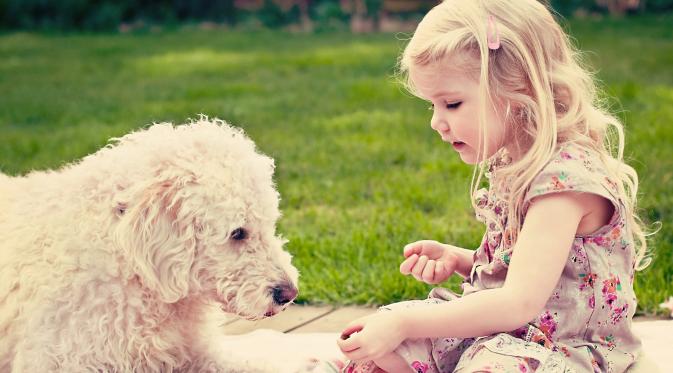 10 Alasan Kenapa Memelihara Anjing Membuat Hidupmu Lebih Sehat. (Foto: zastavki.com)