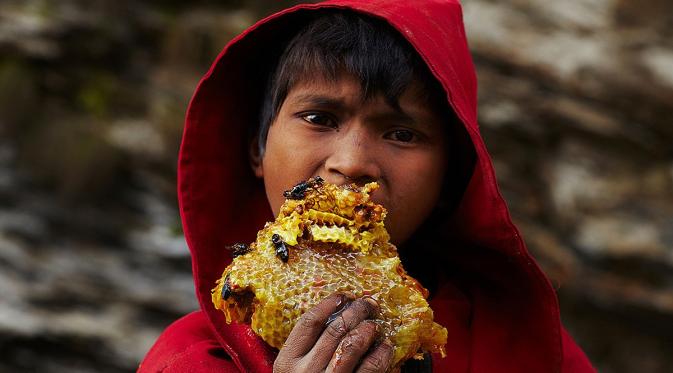 Madu Nepal, Madu yang Bisa Bikin Kamu ‘Fly’. (Foto: huffpost.com)