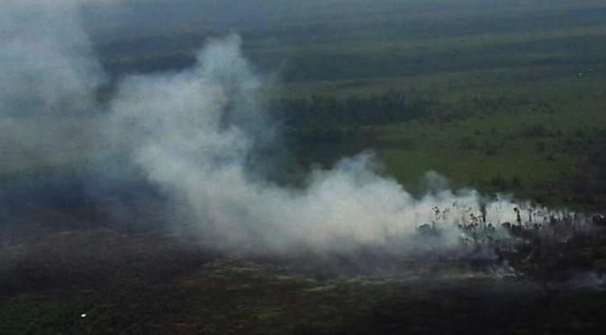 Kebakaran hutan dan lahan di Riau. (Liputan6.com/M Syukur)