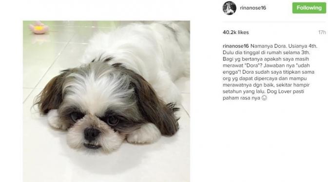 Sebelum berhijab, Rina Nose sudah menghibahkan anjing kesayangannya ke orang lain [foto: instagram]