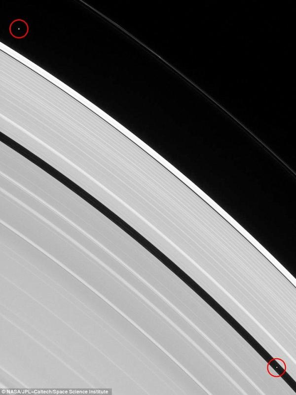 Dua bulan kecil terlihat di Cincin Saturnus. (NASA)