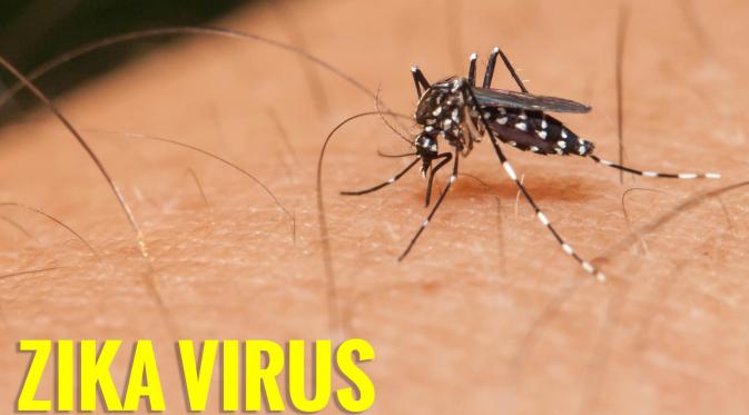Ilustrasi virus Zika | via: hearttoheart.org