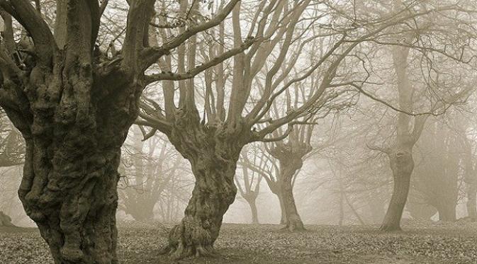 Epping Forest, Inggris