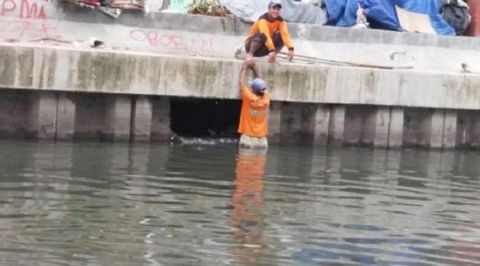  Pasukan Oranye Tuai Pujian Selamatkan Kucing di Sungai | foto : facebook
