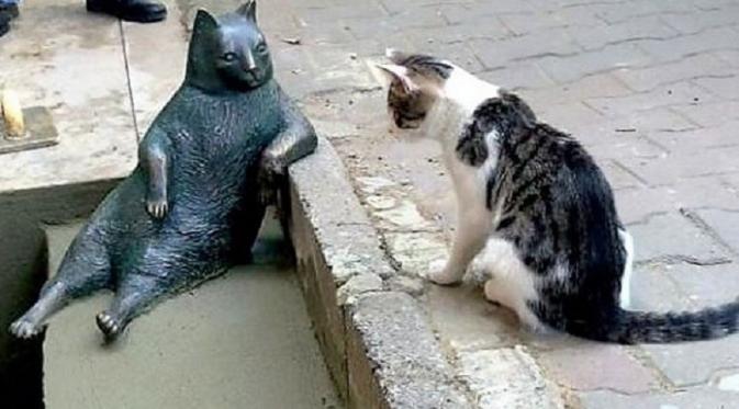  Kucing Gembul Itu Dibuatkan Patung di Istanbul