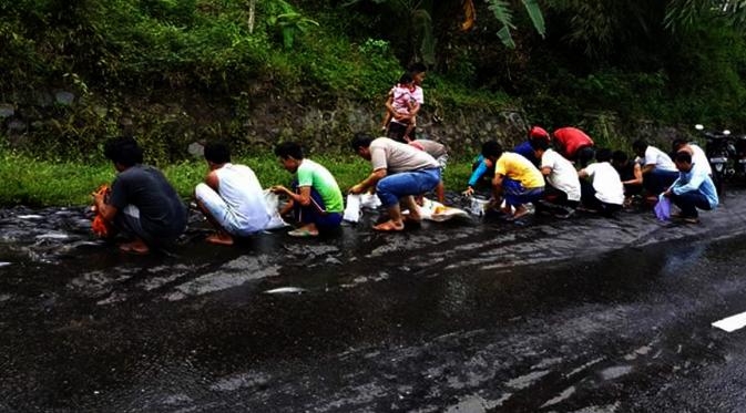 Warga menyerbu ikan lele muatan truk yang terguling di Jalan Raya Ponorogo-Trenggalek, Jawa Timur. (Facebook/roda2blog/Zainul Arifin)