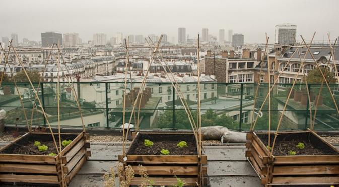 Urban garden. (Via: mymodernmet.com)