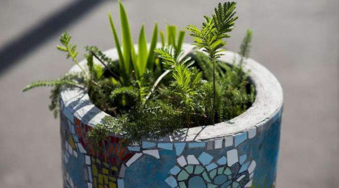 Urban garden. (Via: mymodernmet.com)