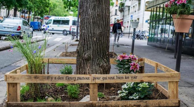 Urban garden. (Via: mymodernmet.com)