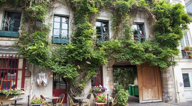 Urban garden. (Via: boredpanda.com)