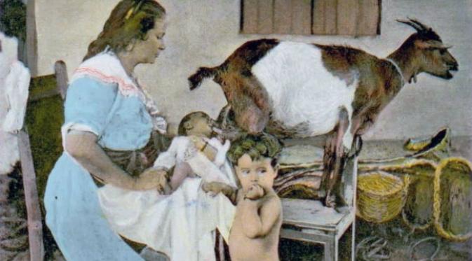 Praktik menyusui bayi langsung ke hewan peliharaan dilakukan dalam banyak budaya dunia, seperti contoh di Kuba pada awal abad 20. (Sumber Curt teich)