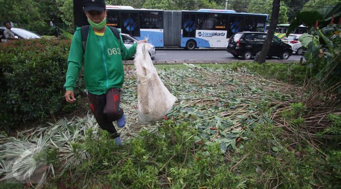 Pekerja membersihkan sampah berserakan di taman yang rusak di depan gedung Balai Kota Jakarta, Jumat (14/10). Taman tersebut rusak akibat banyaknya pengunjuk rasa yang menginjak-injak serta duduk di atas tanaman. (Liputan6.com/Immanuel Antonius)
