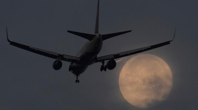 Sebuah pesawat bersiap mendarat di bandara Heathrow saat fajar dengan latar belakang Supermoon di London, Inggris, Senin (17/10). Fenomena bulan purnama terlihat lebih besar dan terang karena berada di jarak terdekat dengan bumi. (Reuters/Toby Melville)