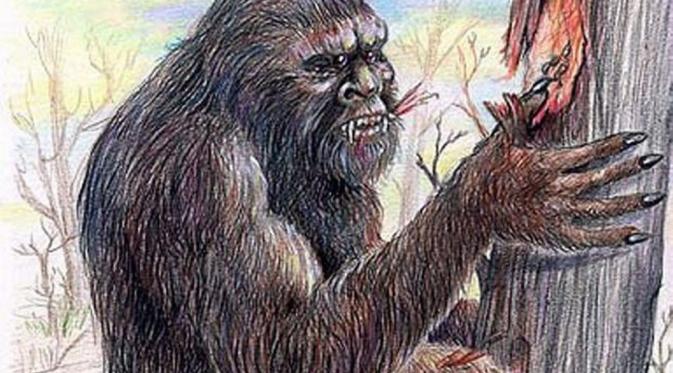 Ilustrasi Yowie, Bigfoot di Australia. (ipswich news)