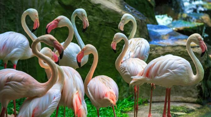 Tun Abdul Razak Heritage Park, Kuala Lumpur, Malaysia. (Zhukova Valentyna/Shutterstock)