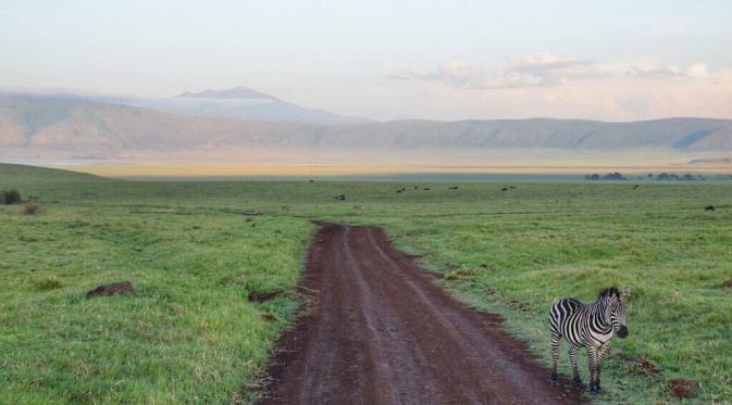Ngorongoro Conservation Area, Tanzania. (landlopers.com)