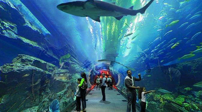 Dubai Aquarium & Underwater Zoo. (przystanekdubaj.pl)