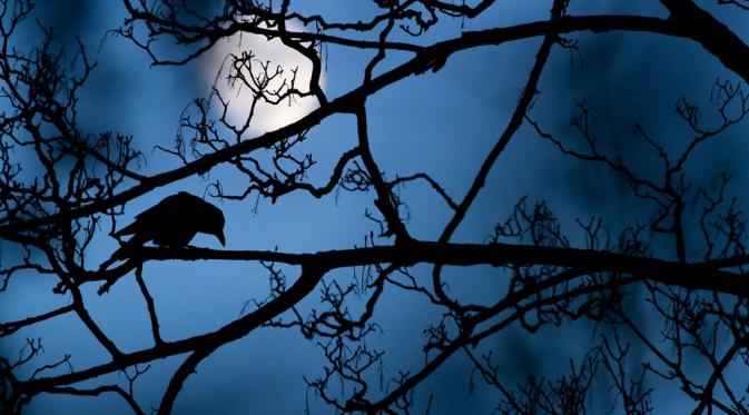 ‘The moon and the crow’ Gideon Knight