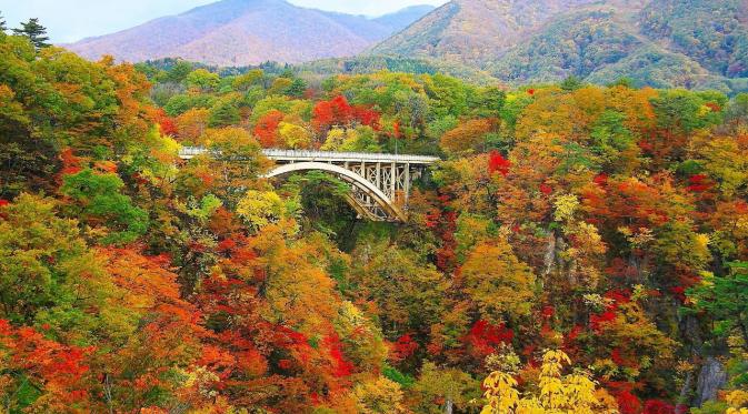 Tohoku, Jepang. (taiken.co)