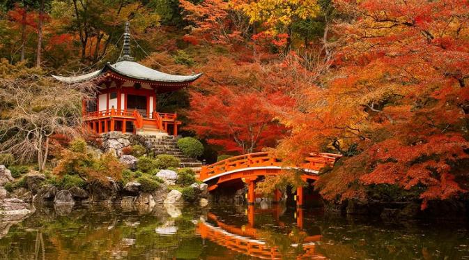 Kyoto, Jepang. (timwilko.com)