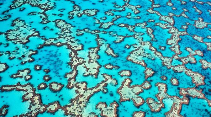 Great Barrier Reef, Queensland, Australia. (Getty)