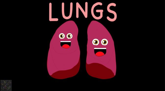 Ini 5 Fakta Paru-paru yang Mungkin Belum Kamu Tahu | via: youtube.com