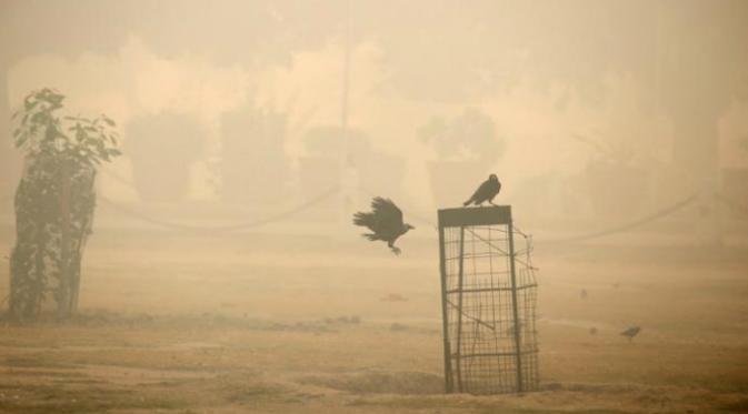 Kualitas udara di New Delhi saat ini berada di level terburuk dalam kurun 17 tahun (Reuters)