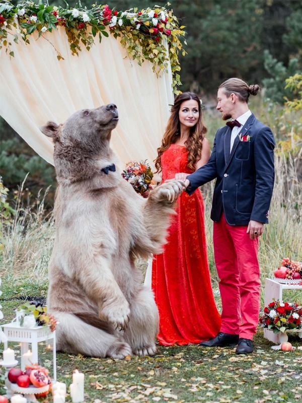 Unik, Menikah Disaksikan Beruang