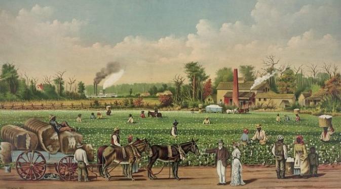 ILustrasi perkebunan kapas di negara bagian Mississippi pada masa perbudakan. (Sumber The Vintage News)