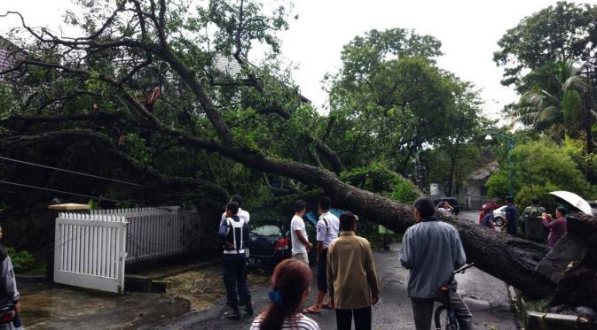 Pohon tumbang akibat hujan deras disertai angin kencang menghantam sedan di Kota Bandung. (Twitter/‏‏@farisahasnanto)