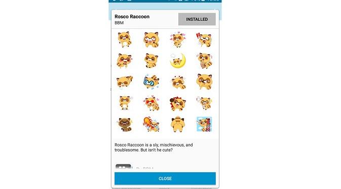 Rosco Raccoon, stiker gratis terbaru dari BBM (Liputan6.com/ Agustin Setyo W)