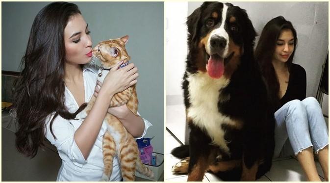 Manohara senang memelihara anjing dan juga kucing. (Instagram @manodelia)