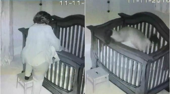 Tidak ada satupun yang cedera, tapi bayi itu kemudian terbangun setelah neneknya merangkak keluar lagi dari tempat tidur. (Sumber Nikki Sharp Bishop)