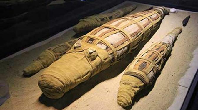 Mumi buaya di Kuil Kom Ombo (Michael Birrell/ B.C. Archaeology)