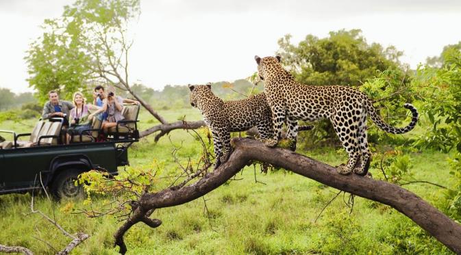 Afrika Selatan. (moodboard/Getty Images)