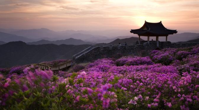 Indahnya pemandangan Gunung Hwangmaesan yang membuat Anda merasa seperti ada di negeri dongeng (tumblr.com)