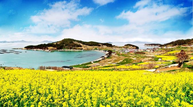 Pulau Cheongsando dengan pemandangan langit biru yang indah (kimcheeguesthouse.com)