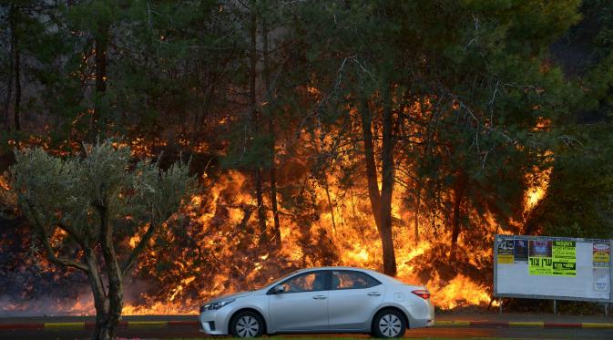 Wali Kota Haifa, Israel: Cuma Tuhan yang Mampu Padamkan Kebakaran (Reuters)