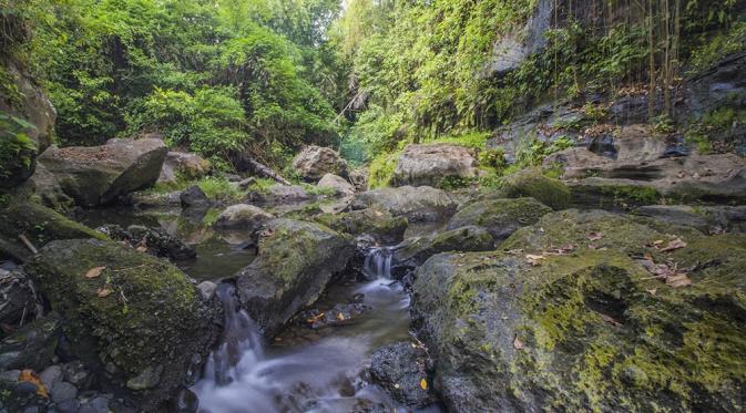 Beji Guwang, Gianyar, Bali. (tempatwisatadibali.id)