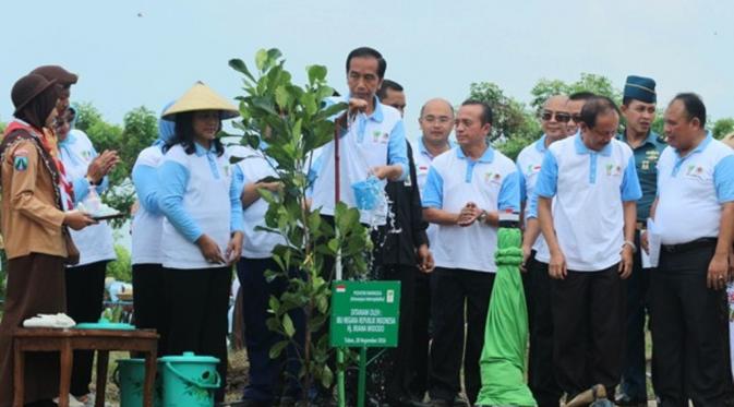 Presiden Joko Widodo menyiram bibit pohon yang ditanam dalam acara peringatan Hari Menanam Pohon Indonesia di Desa Tasikharjo, Jawa Timur. (via: Antaranews.com)