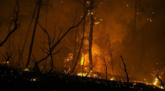 Ilmuwan prediksikan kebakaran serupa akan terus memburuk di masa mendatang. (Foto: nbcnews.com)