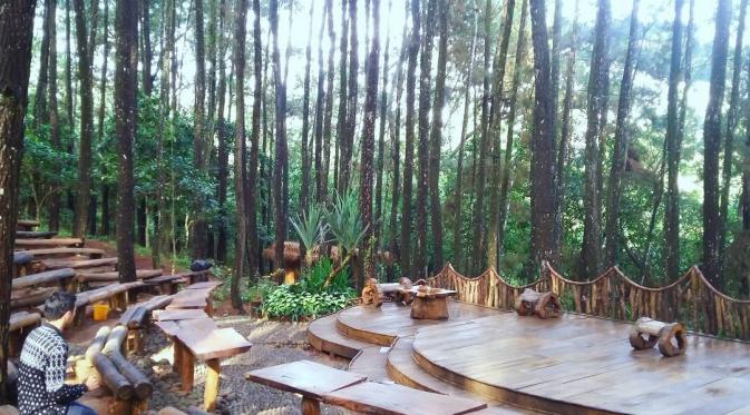 Teater Terbuka di Hutan Pinus Mangunan yang hits di media sosial (topsy.fr)