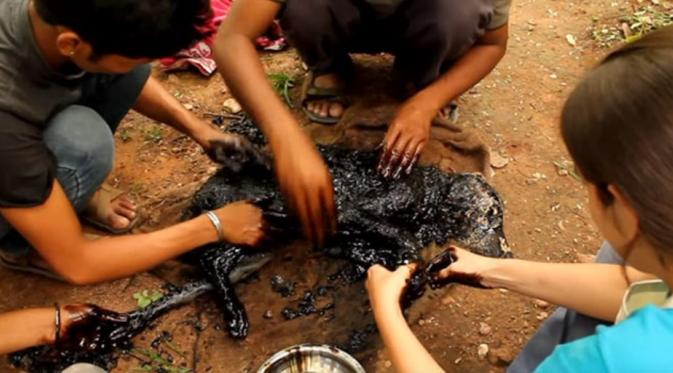 Para penyelamat membalurkan minyak sayur ke sekujur tubuh anjing. (Via: boredpanda.com)