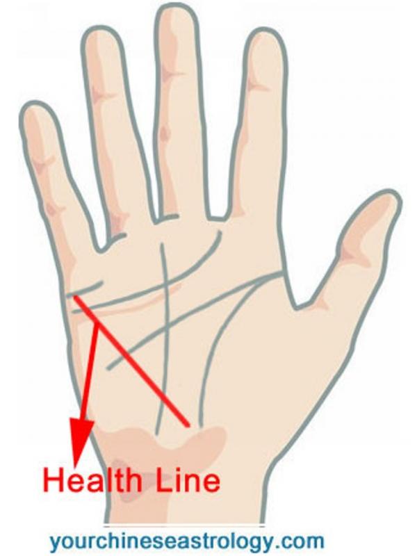 Garis tangan menunjukkan kesehatan. Sumber: Your Chinese Aestrology