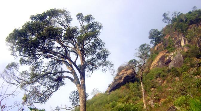 Gunung Mendelem, Pemalang. (idiotraveler.com)