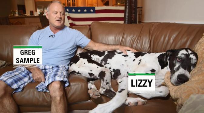 Lizzy, Anjing Betina Tertinggi di Dunia 