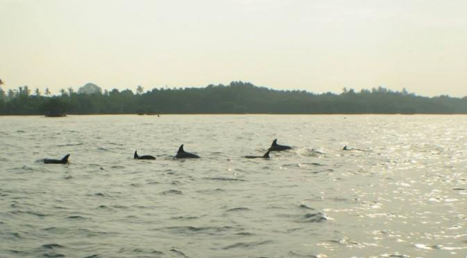 Pulau Tunda, Banten. (likethisadventure.com)