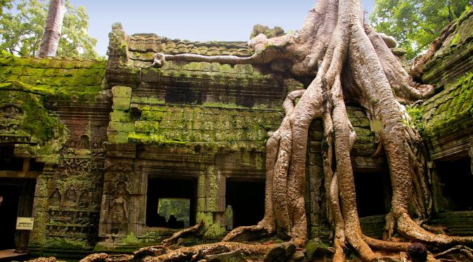 Ta Prohm, Angkor, Kamboja. (Pinterest)